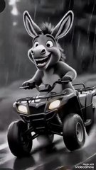 A_donkey_that_rides_a_bike_https___youtube.com_@aroogeai_si=4EoDKXE55hompxwJ(360p)