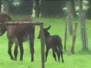 Cours Utopy, le vieux monde est derrière toi !
