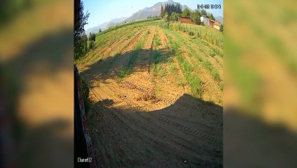 İzmir’de eğitim uçağının düşme anı görüntüsü ortaya çıktı