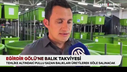 Eğirdir Gölü'ne balık takviyesi