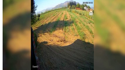 İzmir'de eğitim uçağının düşme anının görüntüsüne ulaşıldı! Pilot adayı Berfu'nun kahreden ölümü...