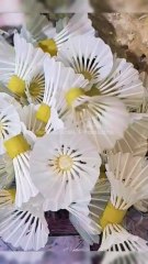 How to Making Badminton Shuttlecock