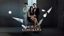 Amor Bajo Contrato Completo