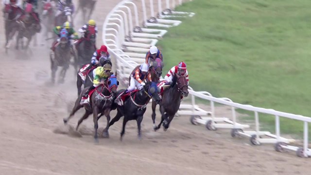 일본 딕테이언, 코리아컵 국제 경주 우승 / YTN