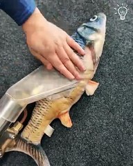The kind of  vacuum cleaner you've never seen before!