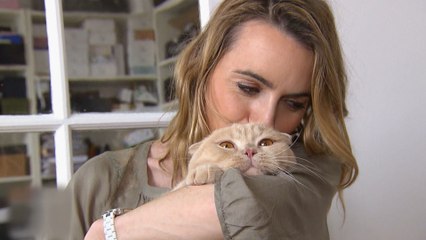 La vie secrète des chats