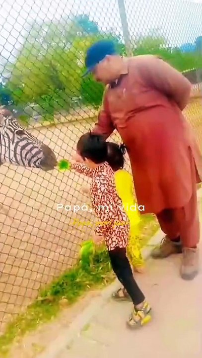 💃💃💃💃