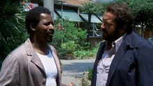 Piedone Lo Sbirro (1973) (Bud Spencer)