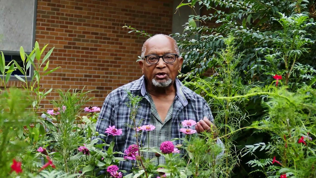 It is my belief that to make progress as a human being, we must correct our flaws.