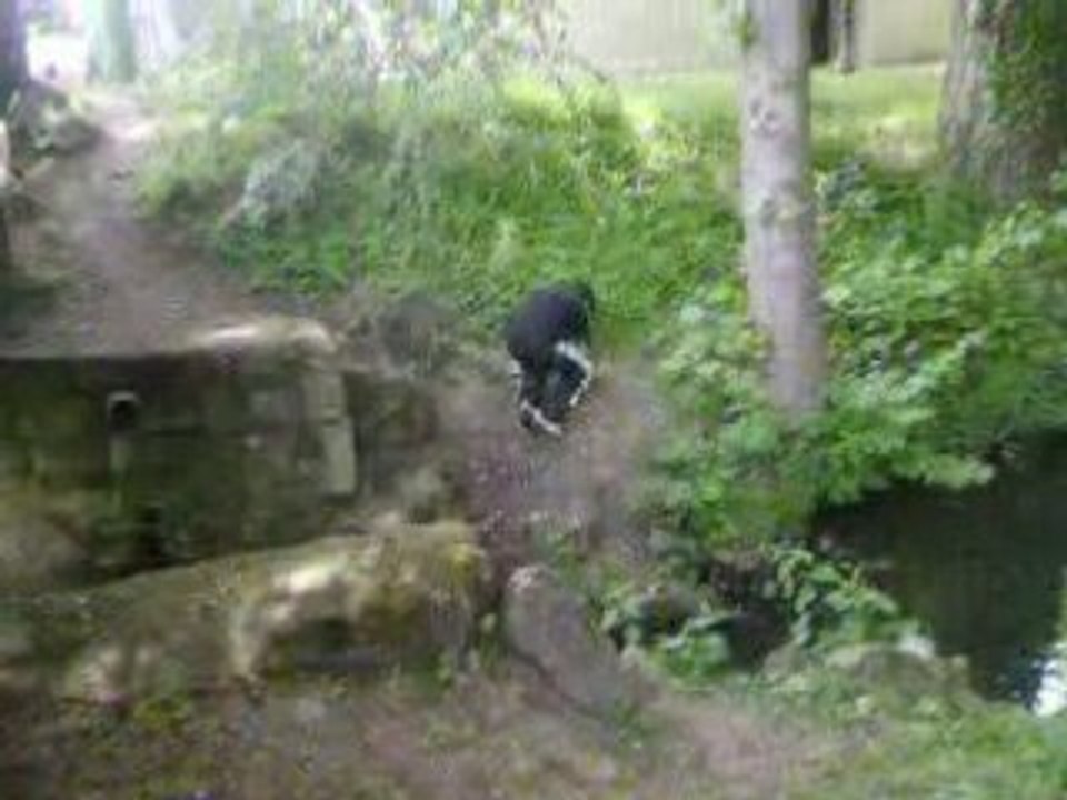 Saut de detente