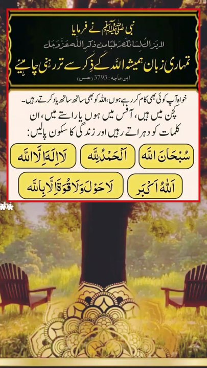 جب قران پڑھا جائے تو توجہ سے سنا کرو اور خاموش رہا کرو تاکہ تم پر بھی رحم کیا جائے۔ ❤️❤️❤️❤️❤️❤️❤️❤️❤️❤️❤️