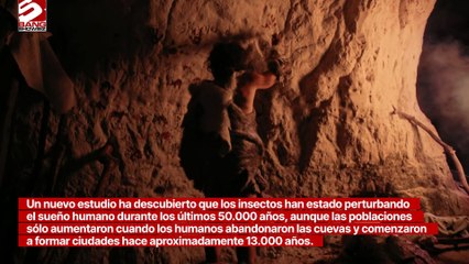 Los hombres de las cavernas tuvieron que lidiar con las chinches