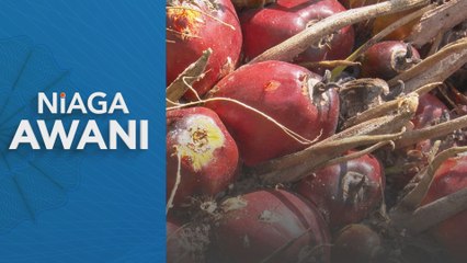Niaga hadapan MSM dijangka RM4,300-RM4,480 satu tan minggu ini