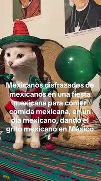 Amigos ya casi es 15 de septiembre 🥳🇲🇽 fiestas patrias mexicanas!!!!!!!!