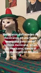 Amigos ya casi es 15 de septiembre 🥳🇲🇽 fiestas patrias mexicanas!!!!!!!!