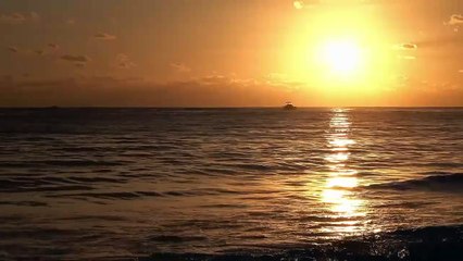 Tololoche – La del Primer Puesto (Estreno 2025 | Corrido Bélico Romántico)