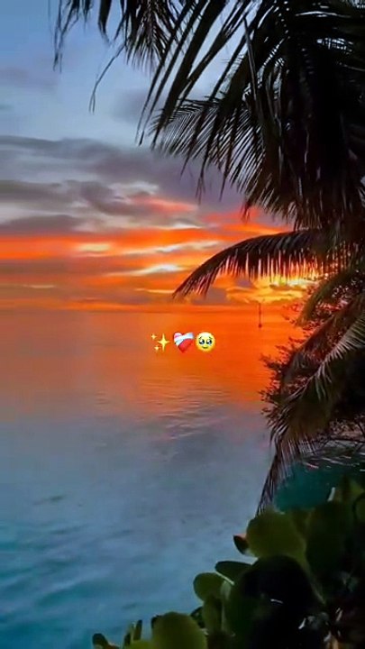 "Witness the day's final kiss."Enjoy a moment of calm with this beautiful sunset video.