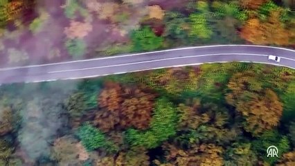 Çam Dağı'nda renk cümbüşüyle bütünleşen sis bulutu güzel manzara oluşturdu