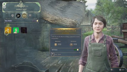 Hogwarts Legacy #65 Butterfly in the forebidden forest