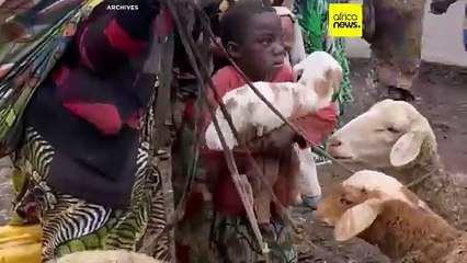 RDC : la ville de Shoa reprise par les rebelles du M23