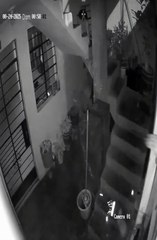 Cão apaga explosivo e salva o dono