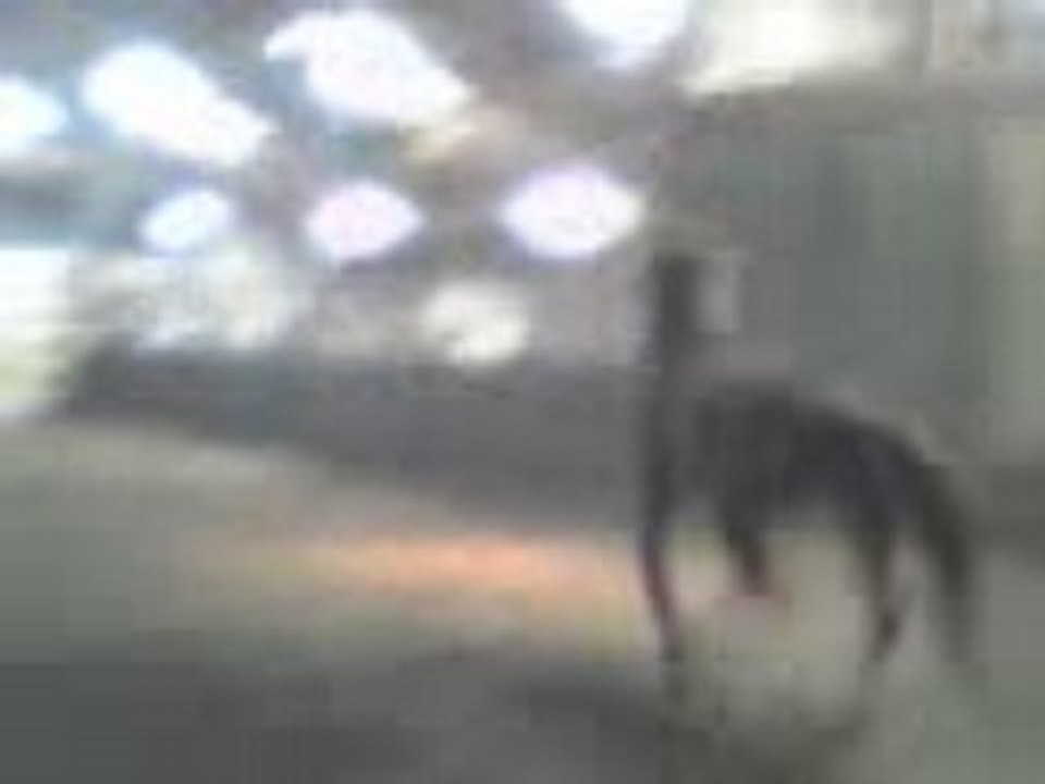 Vidéo 0003