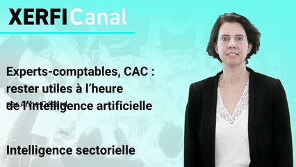 Experts-comptables, CAC : rester utiles à l’heure de l’intelligence artificielle [Anne Césard]