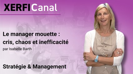 Le manager mouette : cris, chaos et inefficacité [Isabelle Barth]