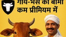 पशु पालक बीमा योजना 2025 | गाय-भैंस का बीमा सिर्फ कम प्रीमियम में