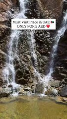 Shees Park Khor Fakkan – UAE’s Hidden Nature Escape 🌿🌊