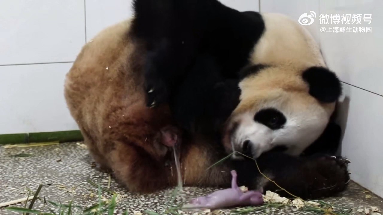 FXVrfpyXlx08rfeFVcEM01041201idNX0E010