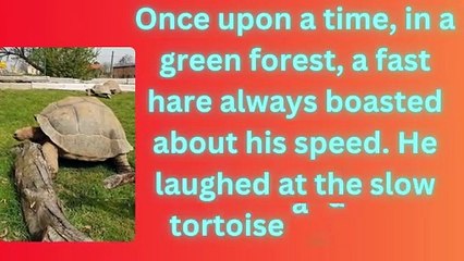 The Tortoise and the Hare(The Tortoise and the Hare | Moral Story in Urdu & English)
