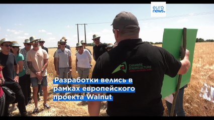 Водоросли, выращенные на сточных водах, помогают фермерам экономить на удобрениях