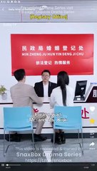 Daily Wish to Remarry Full Chinese Drama - English Sub