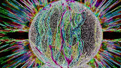 Tranced and Psychedelisized #162 - September 7, 2025