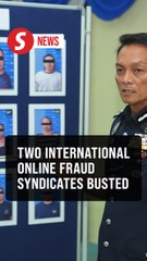 Melaka cops bust two online fraud syndicates, 19 arrested