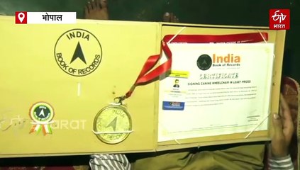 अपाहिज हुआ डॉग तो शुरू कर दिया बिजनेस, ऐसे हो रही बंपर कमाई, दौड़ रहे कुत्ते-बिल्ली