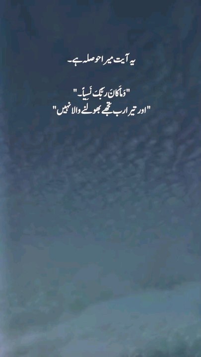 یہ آیت میرا حوصلہ ہے