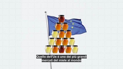 Quanto vale il mercato del miele nell'Unione europea