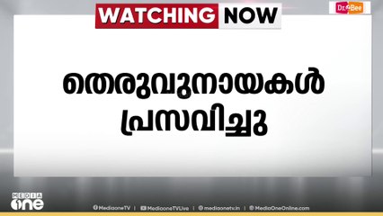 വന്ധ്യംകരണം നടത്തിയ തെരുവുനായകൾ പ്രസവിച്ചു; കോർപ്പറേഷ​ന്റെ പ​ദ്ധതി തട്ടിപ്പായിരുന്നെന്ന് നാട്ടുകാർ