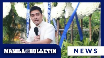 Mayor Vico points out inconsistencies in Discaya couple's statements during Senate hearing