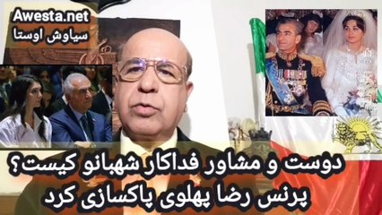 داریوش مخالف پرنس رضا پهلوی نیست اما چرا تلاش میشود مرتب به هر بهانه ای  پشتش را خالی کنند؟-3921-