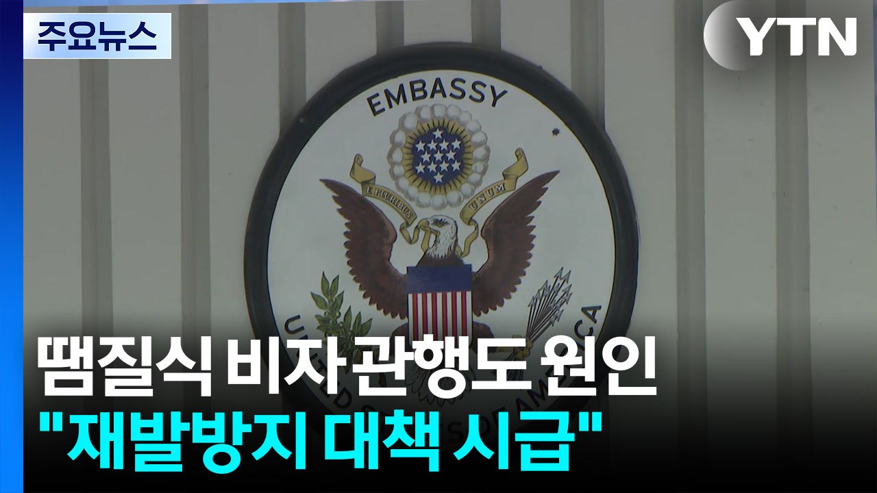 땜질식 비자 관행도 원인..."재발방지 대책 시급" / YTN