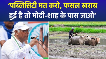 ‘बस 4 एकड़... मेरी तो 40 एकड़ बर्बाद हो गई’, खड़गे का किसान पर वार!