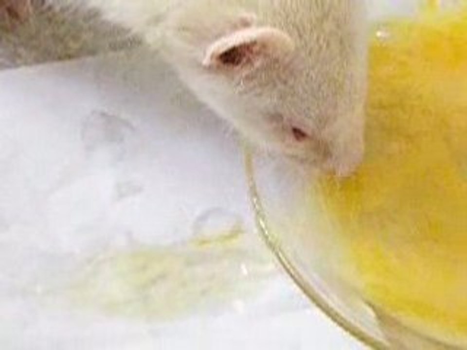 que c'est bon un oeuf !