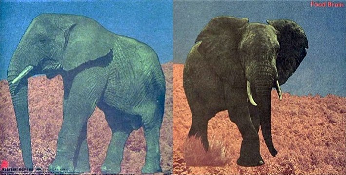 Food Brain - Social Gathering (Bansan) 1970 (Japan, Psychedelic Rock, Jazz-Rock)