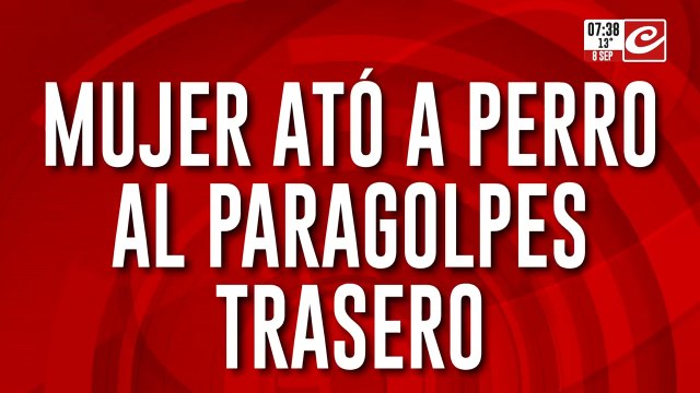 Indignante: mujer ató al perro a paragolpes del auto y lo arrastró varias cuadras
