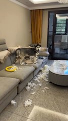 He seems so proud 👏