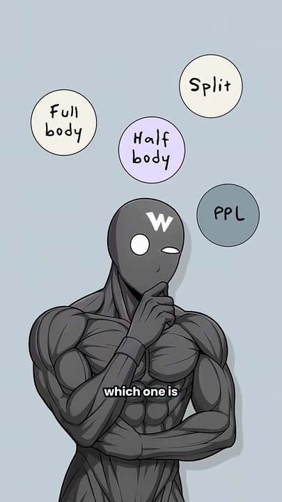 What is The Best Workout Program?