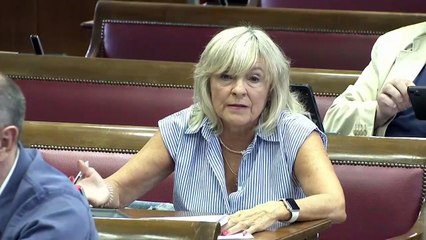 Leire Díez, en la 'comisión Koldo' del Senado